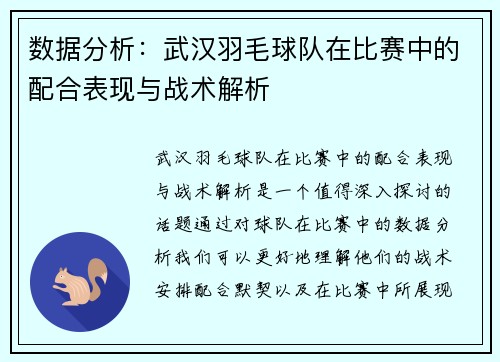 数据分析：武汉羽毛球队在比赛中的配合表现与战术解析