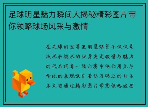足球明星魅力瞬间大揭秘精彩图片带你领略球场风采与激情