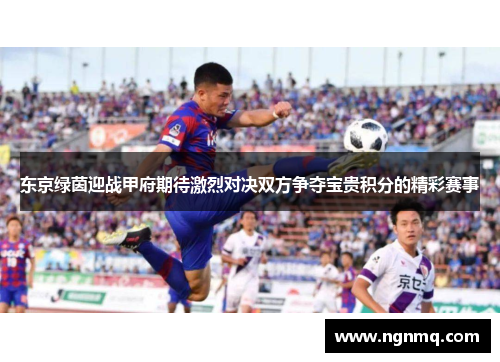 东京绿茵迎战甲府期待激烈对决双方争夺宝贵积分的精彩赛事